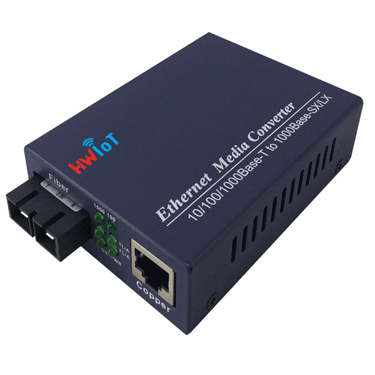 Networking HW-F1000-Y20
